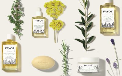 Discover Herbier, the Eco and Bio line from Payot