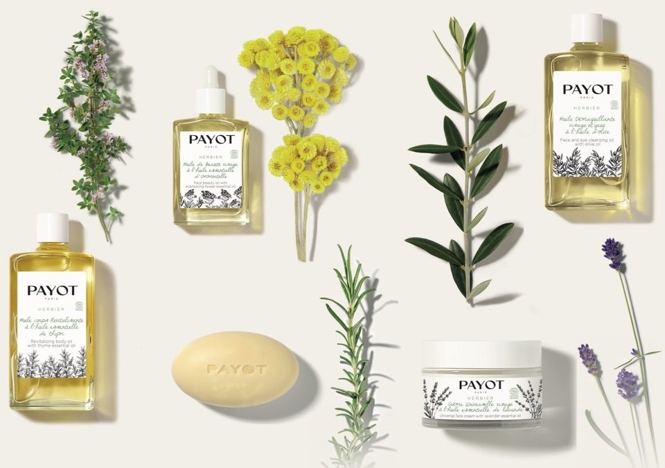 Discover Herbier, the Eco and Bio line from Payot